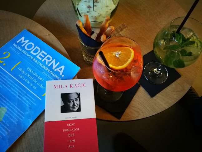 Kavarna Moderna - Gastronomija in gostinstvo