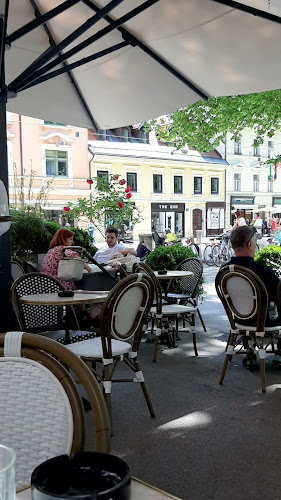 Kavarna Zvezda - Gastronomija in gostinstvo