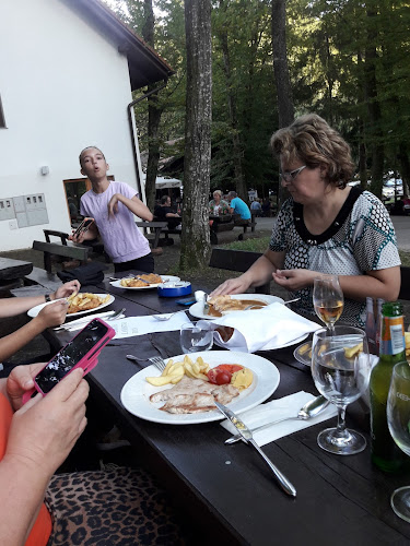 Opinii despre GOSTILNA RIBNIK Damjan Golob s.p. în Brestanica - Gastronomija in gostinstvo