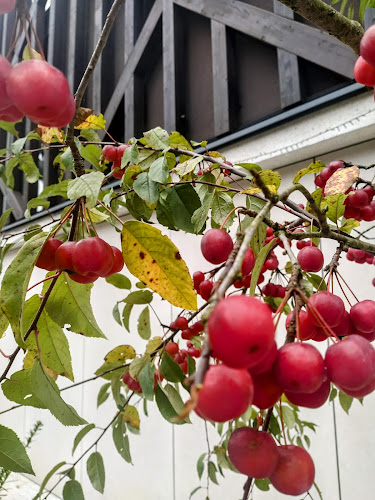 Gostilna Čad - Gastronomija in gostinstvo