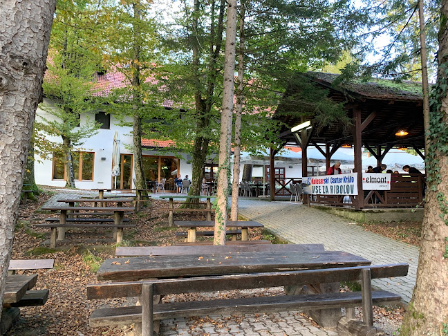 Comentarii opinii despre GOSTILNA RIBNIK Damjan Golob s.p.