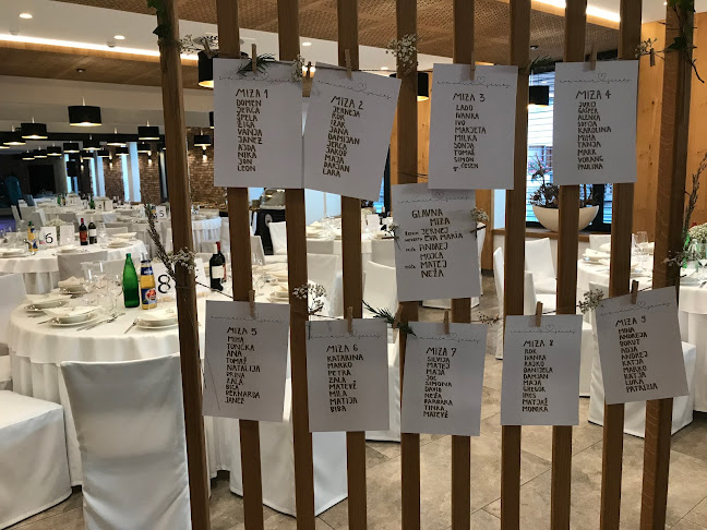 Cesta v Loke 7, 3330 Mozirje