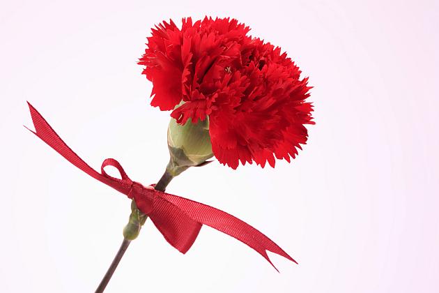 Bar''Bistro"Vita Renata Šuster - Gastronomija in gostinstvo