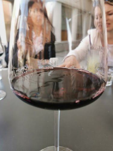 Opinii despre Dvorni Bar în Ljubljana - Gastronomija in gostinstvo