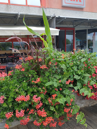 Bale Bar - Gastronomija in gostinstvo