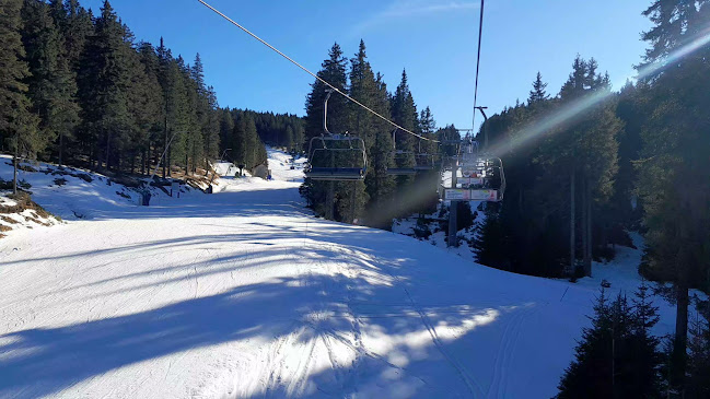 Opinii despre Hribovska restavracija Mašinžaga în Zreče - Gastronomija in gostinstvo