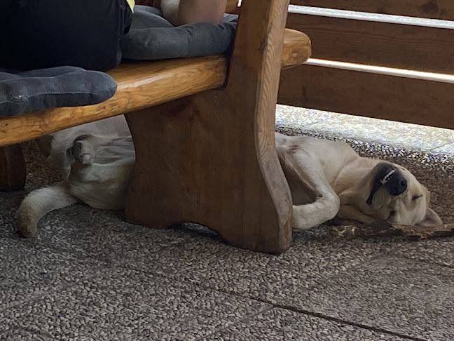 Barbara Pr'Grmač Nataša Ivanušič s.p. - Gastronomija in gostinstvo