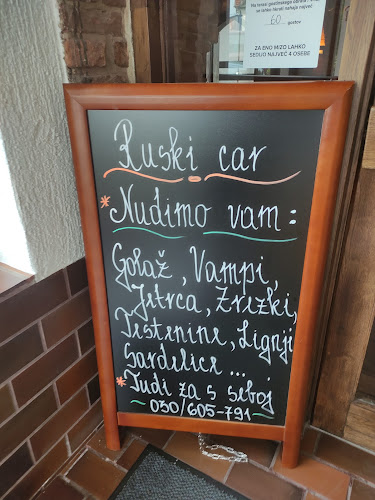 Opinii despre Gostilna Ruski car în Ljubljana - Gastronomija in gostinstvo