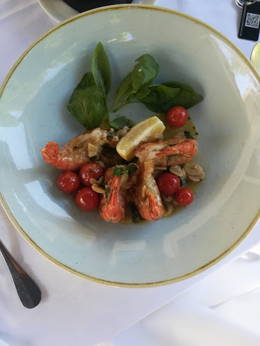 Copia d.o.o. - Ljubljana