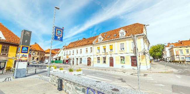 Opinii despre Gostilna Zlati Lev în Maribor - Gastronomija in gostinstvo