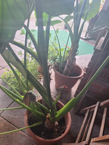 Opinii despre KGJ în Novo mesto - Gastronomija in gostinstvo