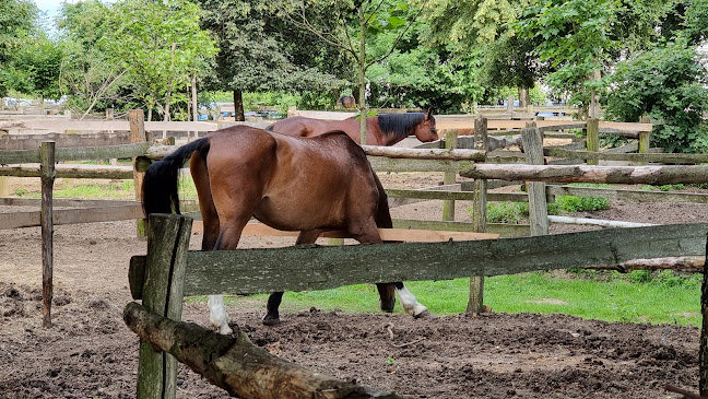 Kavarna DVOREC RAKIČAN