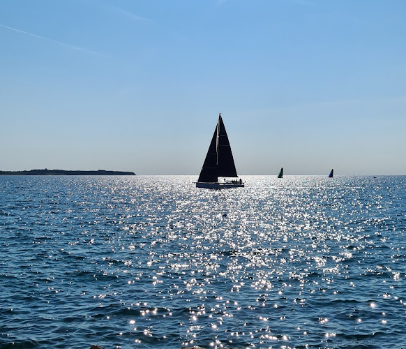 Comentarii opinii despre Ribja kantina pri Polonci