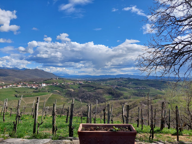 Gostišče pri Marjotu - Gastronomija in gostinstvo