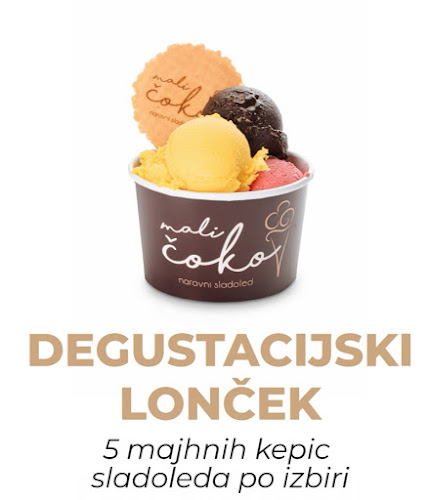 Mali čoko d.o.o., proizvodnja in prodaja naravnega sladoleda - Gastronomija in gostinstvo