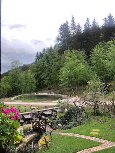 Opinii despre Gostilna "Pustov Mlin" Povše Viktor s.p. în Šmartno pri Litiji - Gastronomija in gostinstvo