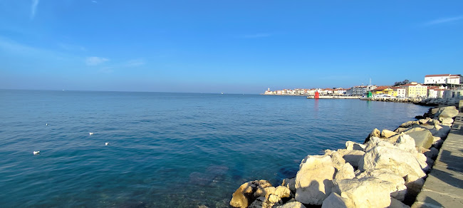 Comentarii opinii despre Sarajevo 84