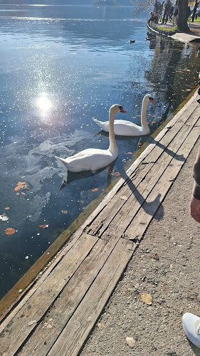 Veslaška promenada 14, 4260 Bled