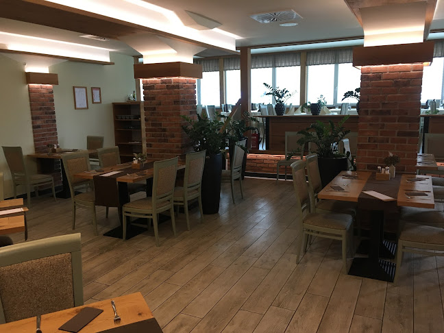 Lisjak Celjski - Celje