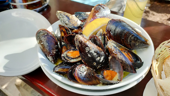 Ribja kantina Fritolin , Mirabela d.o.o.