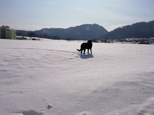 Top Unimat, Ognjevarni materiali, d.o.o. Jesenice - Blejska Dobrava