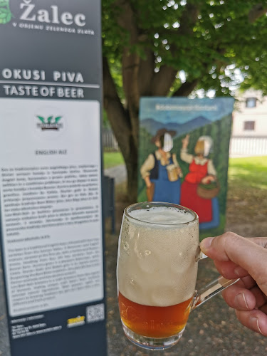 Fontana piva Žalec - Žalec