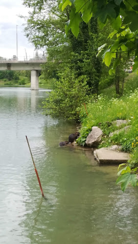 Comentarii opinii despre Pr' Veseljak - picerija in kavarna