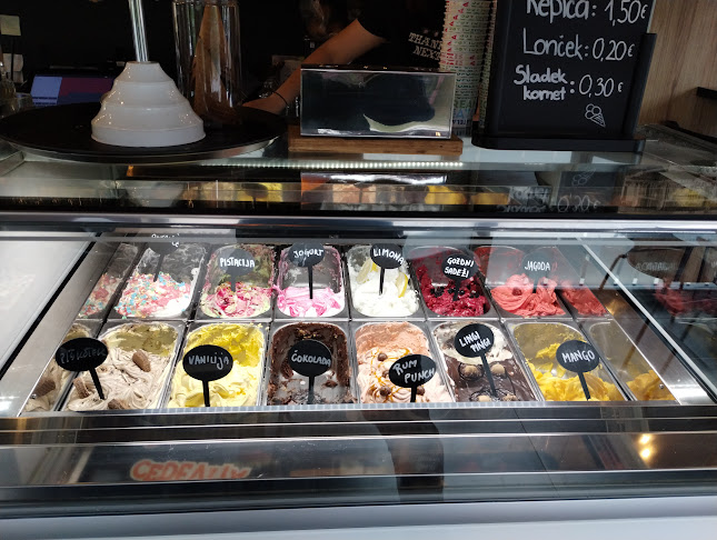 Bartuš Metlika - Metlika