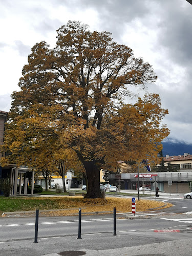 Comentarii opinii despre Pekarna Dijari