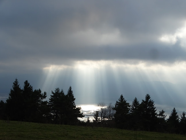 Cesta 4. maja 16a, 1380 Cerknica