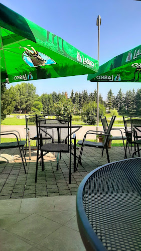 Bar ribnik, Rado Antolič s.p.