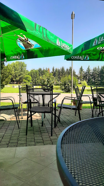 Bar ribnik, Rado Antolič s.p.