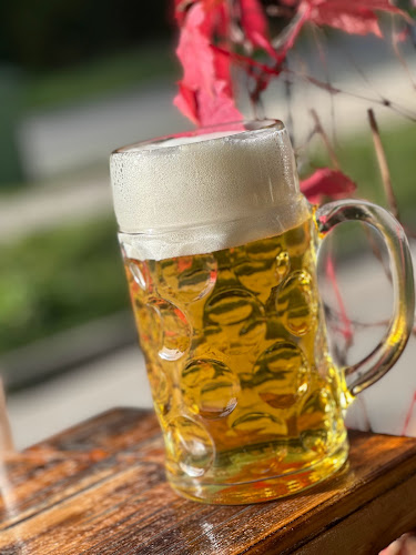 Opinii despre Matjaž Kopač s.p. PE Loka Bar în Tržič - Gastronomija in gostinstvo