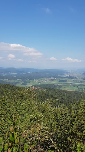 Opinii despre Solkanska Klet în Solkan - Gastronomija in gostinstvo