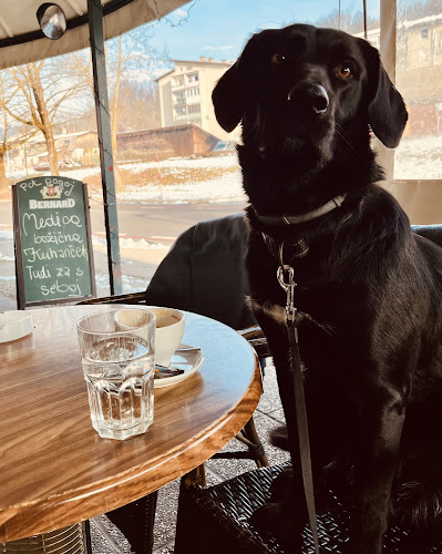 Comentarii opinii despre Malibu bar