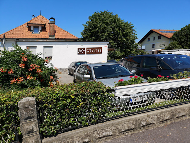 Comentarii opinii despre Gostilna Pri lipi, Nataša Ferlinc Tašner s.p.