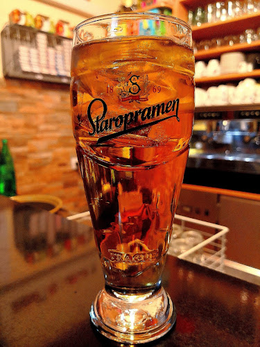 Bar Leo Suzana Piljić s.p. - Črnomelj