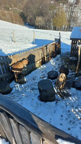 Bife pri Lojzu Alojz Šerbak s.p. - Rogaška Slatina