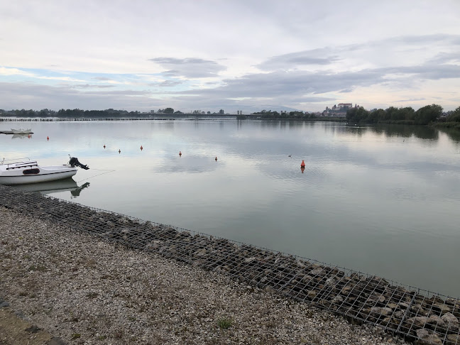 Ptujsko morje - Gastronomija in gostinstvo