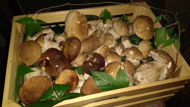 Restavracija Isabella Podgrad Slovenia ⭐⭐⭐⭐⭐ - Podgrad