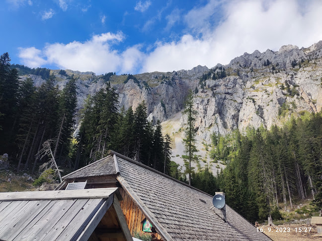 Comentarii opinii despre Koča na planini Dolga njiva