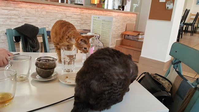 Hrenova ulica 19, 1000 Ljubljana, Slovenija