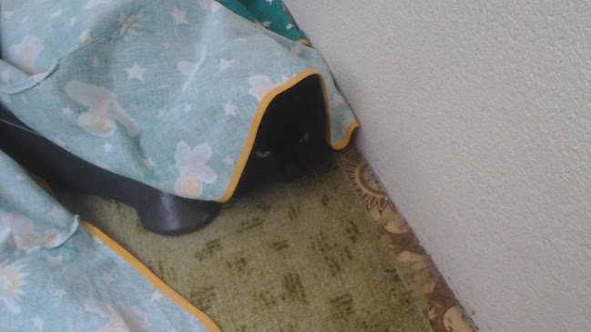 Opinii despre Wallas Jože s.p. Wall - Club - gostinstvo in gradbeništvo în Trbovlje - Gastronomija in gostinstvo