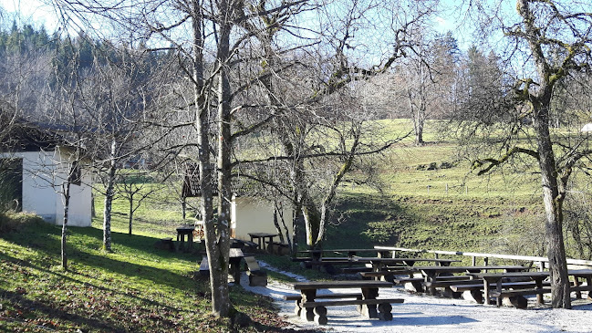 Dobeno 4, 1234 Mengeš