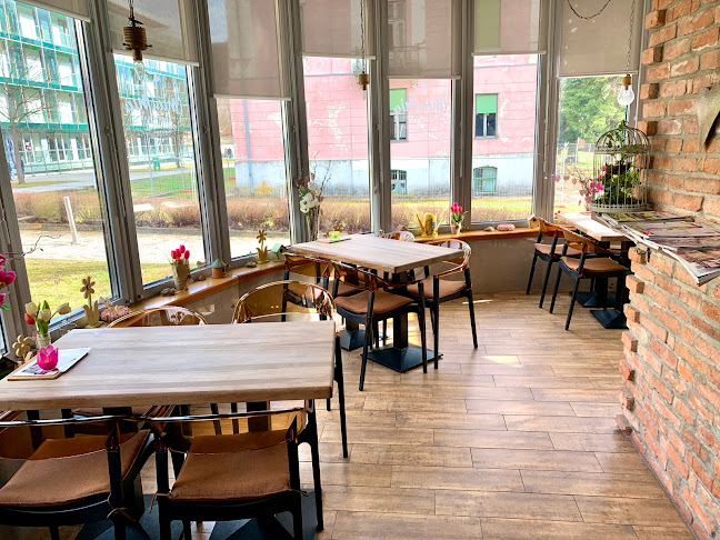 Comentarii opinii despre Mia Mia