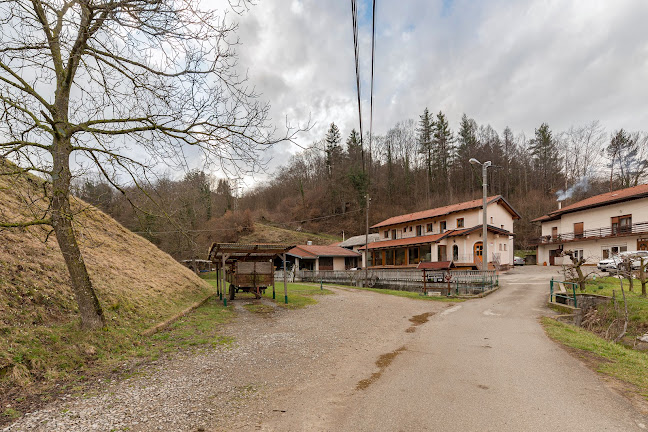 Opinii despre Turistična kmetija Ivankotovi în Prem - Gastronomija in gostinstvo