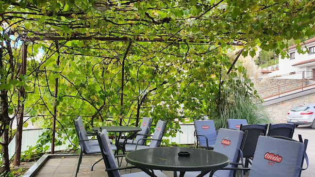 Bar Kočanija Janez Grlj s.p.