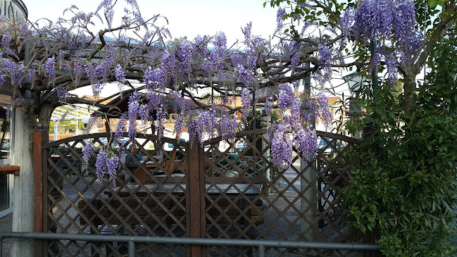 Comentarii opinii despre Pivnica Pri Pošti