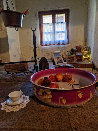 Opinii despre Cejkotova domačija Davorin Mesesnel - dopolnilna dejavnost na kmetiji în Vipava - Gastronomija in gostinstvo