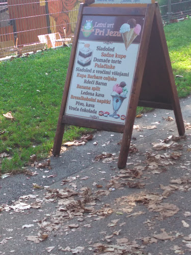 Prežihova ulica 9, 3000 Celje